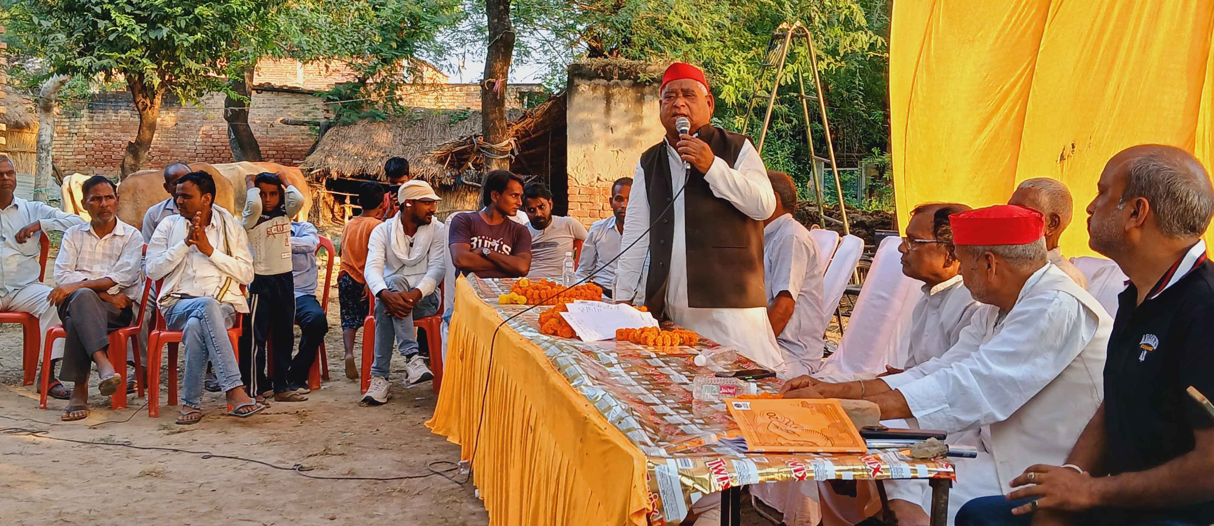 category photo