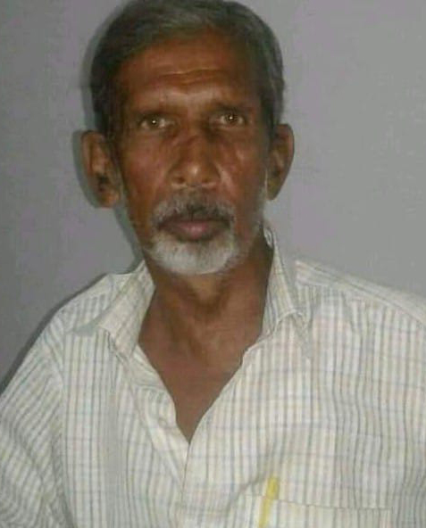 category photo