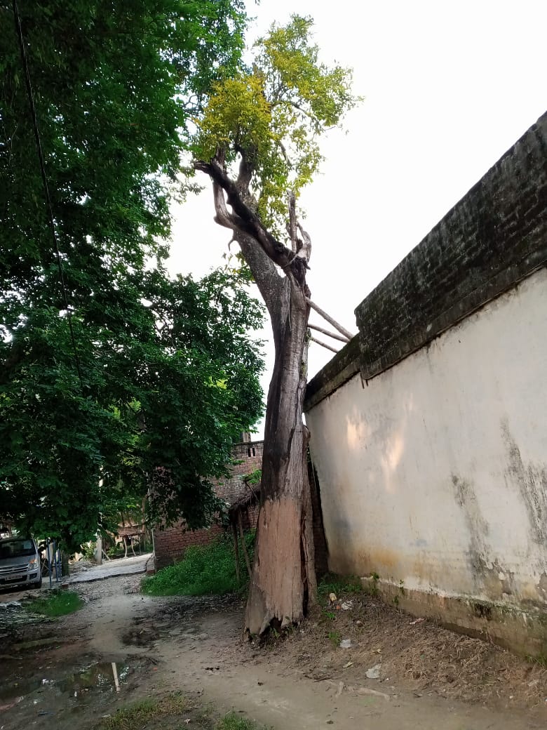 category photo