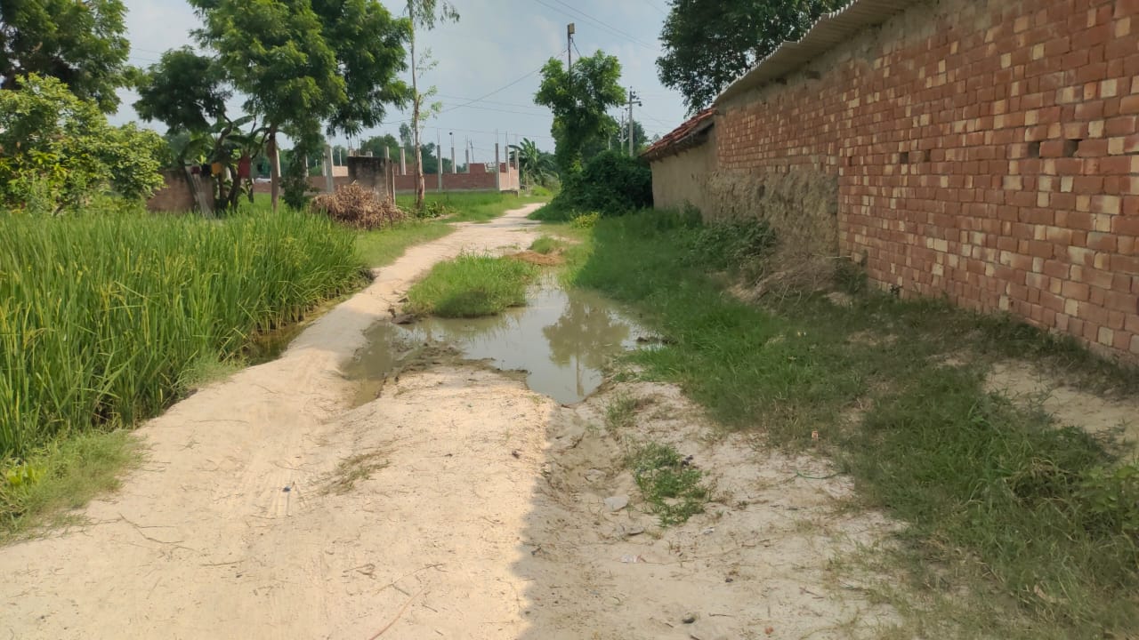 category photo