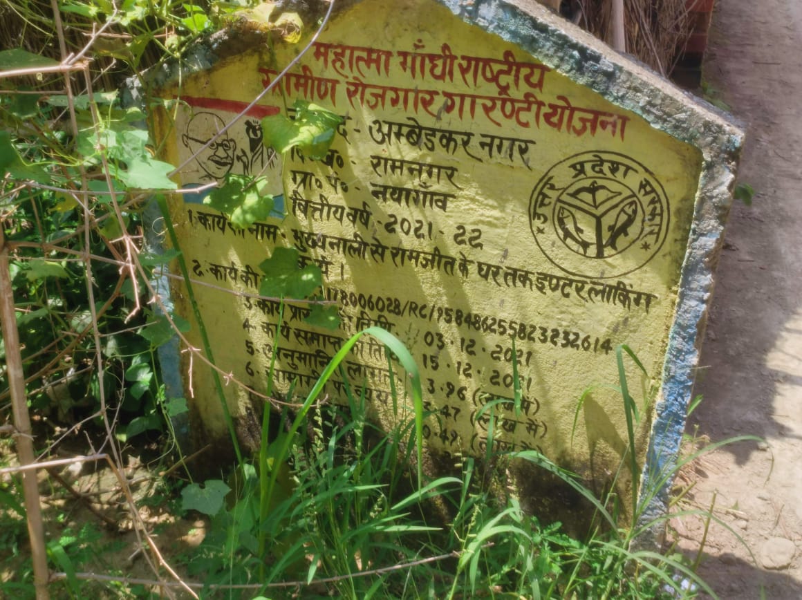 category photo