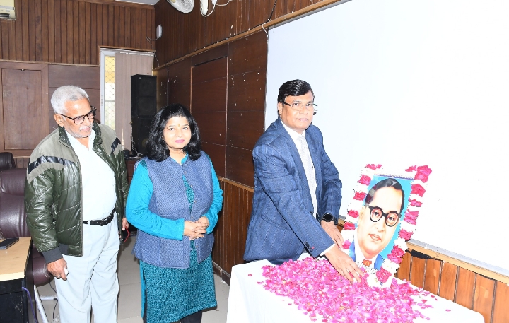 category photo