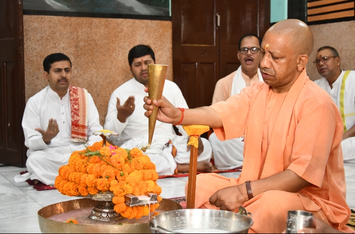 category photo