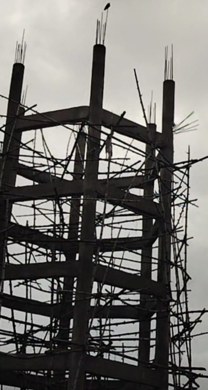 category photo
