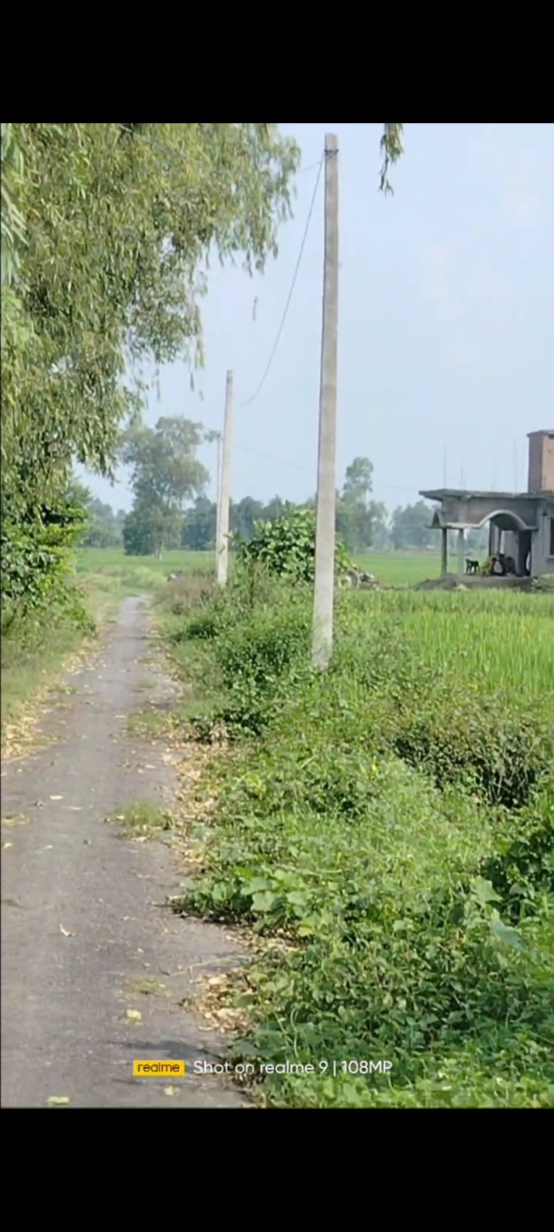 category photo